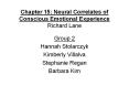 Chapter 15: Neural Correlates of Conscious Emotional Experience Richard Lane PowerPoint PPT Presentation