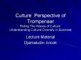 Culture Perspective of Trompenaar Riding The Waves of Culture: Understanding Cultural Diversity in Business PowerPoint PPT Presentation