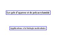 Diapositive 1