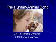 The Human-Animal Bond