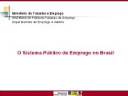 Panorama e perspectivas do Sistema P