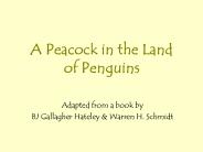 A Peacock in the Land of Penguins