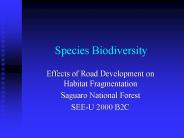 Species Biodiversity