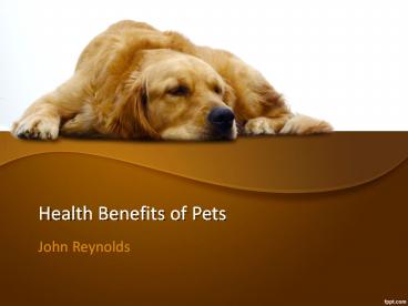Health Benefits of Pets