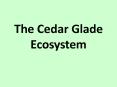 The Cedar Glade Ecosystem PowerPoint PPT Presentation