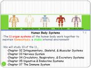 Human Body Systems