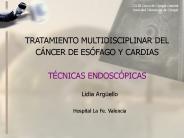 LESIONES QU