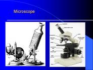 Microbiological Quality Assessment of  Processed  Fruit Juice