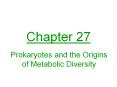 Prokaryotes and the Origins of Metabolic Diversity PowerPoint PPT Presentation