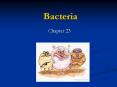 Bacteria PowerPoint PPT Presentation