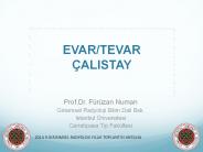 EVAR/TEVAR 
