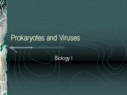 Prokaryotes and Viruses