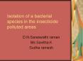 Isolation of a bacterial species in the insecticide polluted areas PowerPoint PPT Presentation
