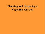 Planning and Preparing a Vegetable Garden