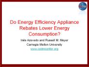 Do Energy Efficiency Appliance Rebates Lower Energy Consumption?