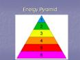 Energy Pyramid PowerPoint PPT Presentation