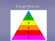 Energy Pyramid