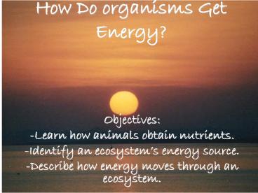 How Do organisms Get Energy?