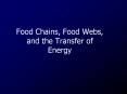 Food Chains, Food Webs, and the Transfer of Energy PowerPoint PPT Presentation