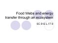 Food Webs and energy transfer through an ecosystem PowerPoint PPT Presentation