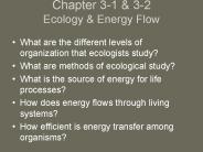 Chapter 3-1