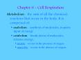 Chapter 6 - Cell Respiration PowerPoint PPT Presentation