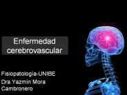 Enfermedad cerebrovascular