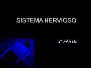 SISTEMA NERVIOSO