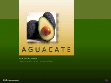 Aguacate