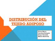 Distribuci