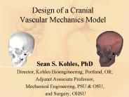 Design of a Cranial Vascular Mechanics Model