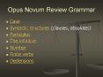 Opus Novum Review Grammar PowerPoint PPT Presentation