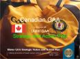 Canadian GAA in Association with Ulster GAA Strategy and Action Plan PowerPoint PPT Presentation