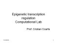 Epigenetic transcription regulation Computational Lab PowerPoint PPT Presentation