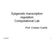 Epigenetic transcription regulation Computational Lab