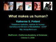 Katherine S. Pollard