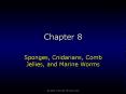 Sponges, Cnidarians, Comb Jellies, and Marine Worms PowerPoint PPT Presentation