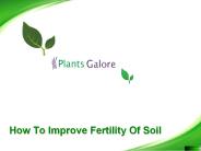 How To Improve Fertility Of Soil