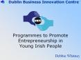 Dublin Business Innovation Centre PowerPoint PPT Presentation