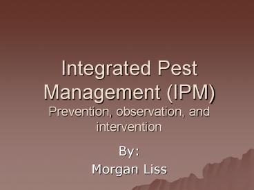 presentation player overlay