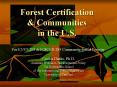 Forest Certification PowerPoint PPT Presentation