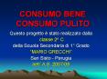 CONSUMO BENE CONSUMO PULITO PowerPoint PPT Presentation
