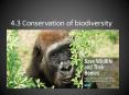 4.3 Conservation of biodiversity PowerPoint PPT Presentation