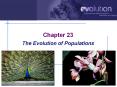 The Evolution of Populations PowerPoint PPT Presentation