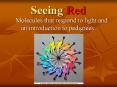 Seeing Red PowerPoint PPT Presentation
