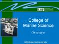 College of Marine Science PowerPoint PPT Presentation