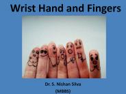 Wrist Hand and Fingers