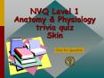 NVQ Level 1 Anatomy PowerPoint PPT Presentation