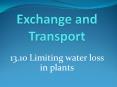 Exchange and Transport PowerPoint PPT Presentation