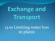 Exchange and Transport